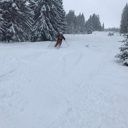 Alpendomizil Pia Apartman Mühlbach am Hochkönig Kültér fotó