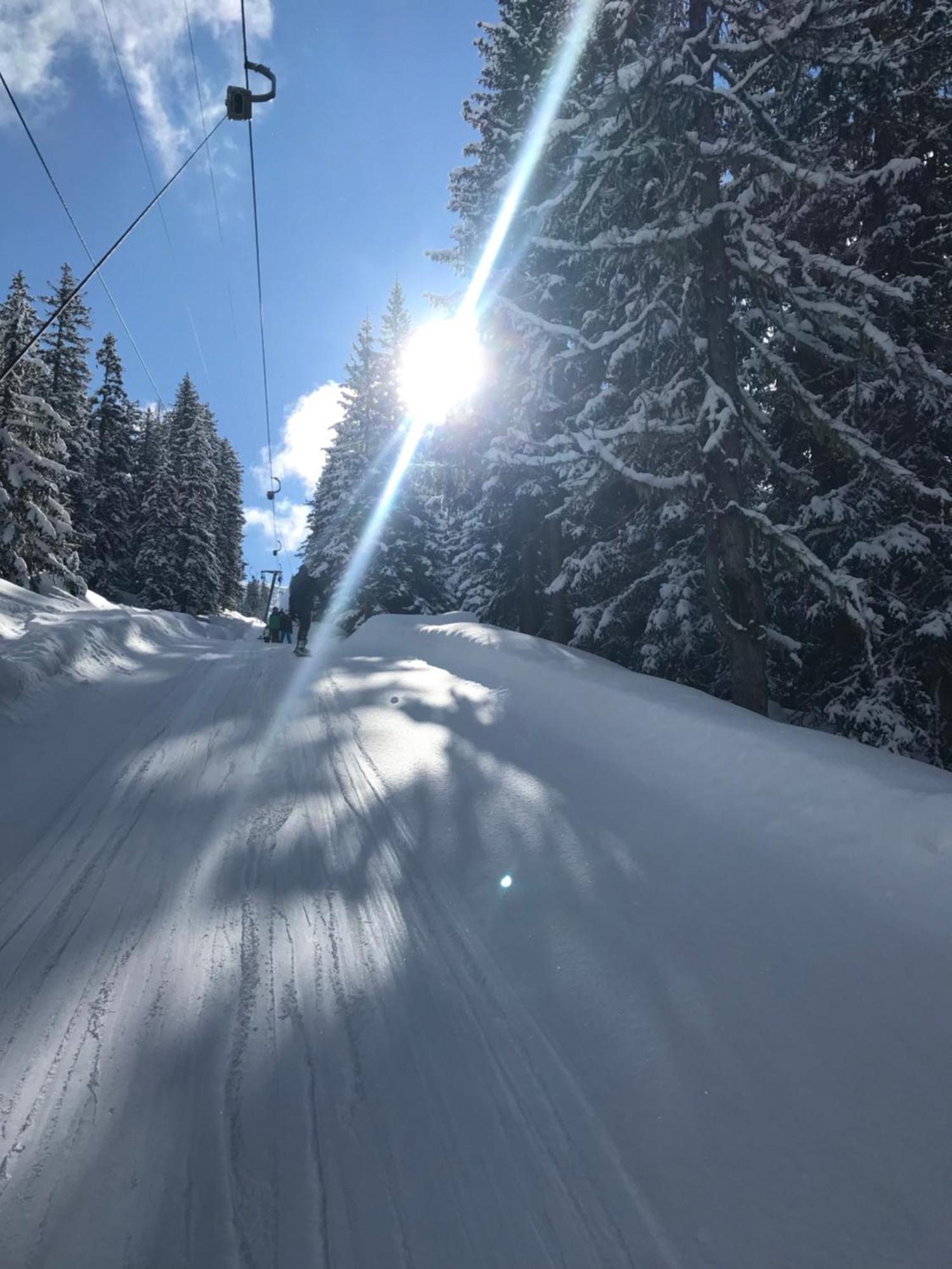 Alpendomizil Pia Apartman Mühlbach am Hochkönig Kültér fotó