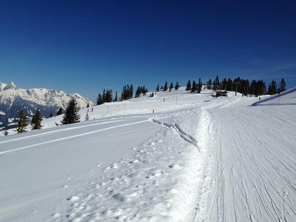 Alpendomizil Pia Apartman Mühlbach am Hochkönig Kültér fotó